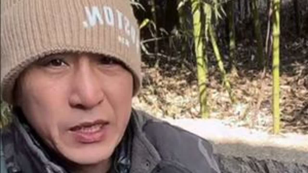 @豆包大院 今年2月6号水沟里救助的狗妈妈和四个狗宝宝的后续来了！@豆包和他的流浪狗狗们 @乳山市豆包大院宠物用品店 @豆包媳妇 #豆包大院流浪狗 #流浪狗救助 #流浪狗后续