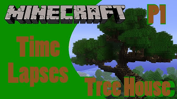Treehouse Time Lapse Part 1