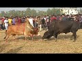 Bangla vai vs King | Winner Bangla vai | 16 December 2020 | Sylhet Bullfighting |