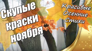 Красивые Осенние Стихи ❤ Скупые краски ноября 👍 Мудрые Стихи О Жизни 🎤 Читает автор