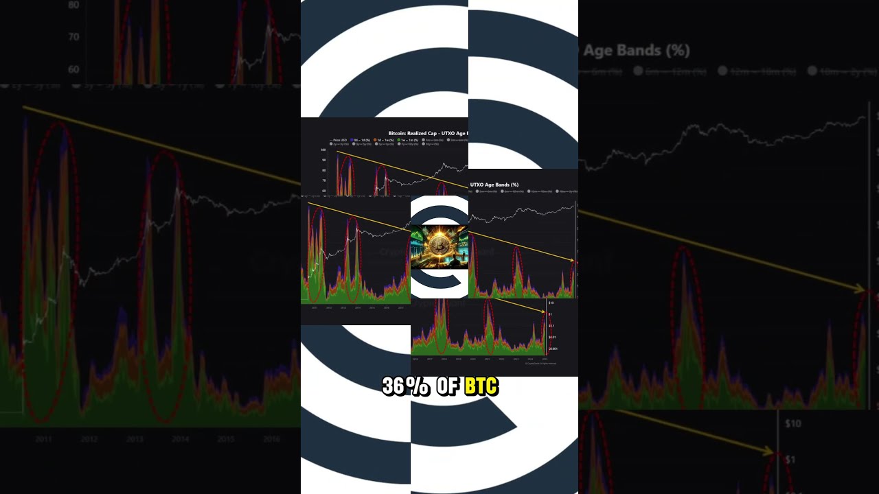 Bitcoin Bull Cycle: Peak Between Q1 & Q2 2025? Experts Weigh In!