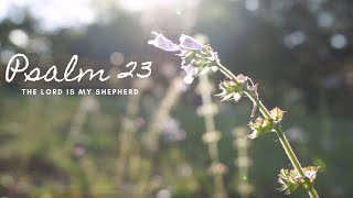 Psalm 23 The Lord Is My Shepherd Elizabeth Armstrong