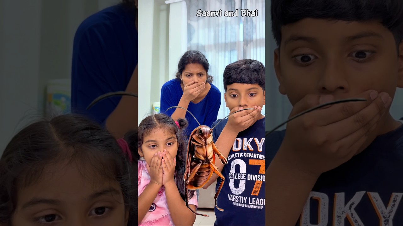 Cockroach ka Chicken Dance Dekha Saanvi and Bhai Ne😂😂 #shorts #ytshorts