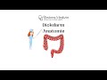 Dickdarm Anatomie Mp3 Song