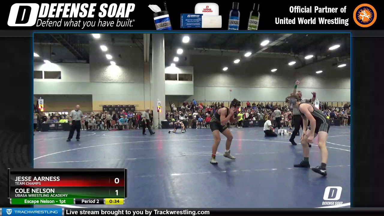 High School (9th - 10th Grade) 120 Jesse Aarness Team Champs Vs Cole Nelson Ubasa Wrestling Academ