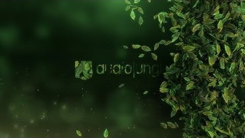 Elegant Leaves Logo Reveal V3 46612887