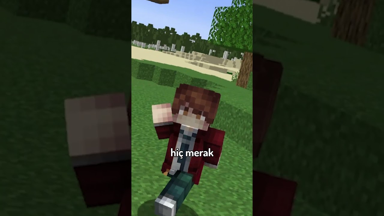 Mojang İsminin Anlamı ⛏💎