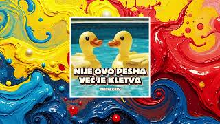 NIJE OVO PESMA VEČ JE KLETVA - DEZORA