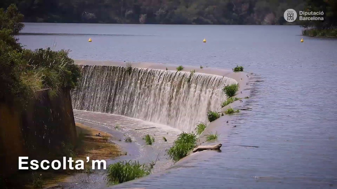 Soc el Parc del Foix - llarg