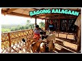 PANIBAGONG ALAGA..MAY NANGANAK NA KAMBING! DAMI NG SISIW NG MANOK