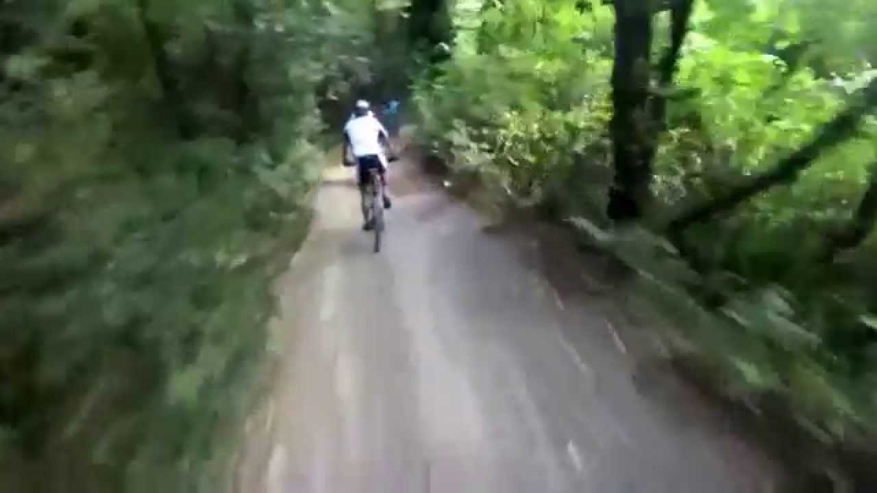 MOUNTAIN BIKE - CAPRIOLO - SENTIERI - TREK - ON BOARD GOPRO HERO3+ - YouTube