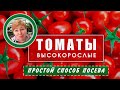 ТОМАТЫ- посевы простым, но не обычным для меня способом.