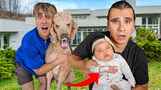 Our Dog Bit Our Baby Daughter