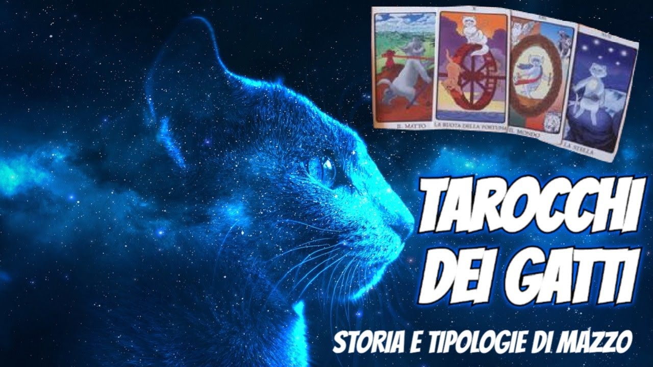 I TAROCCHI DEI GATTI - STORIA E TIPOLOGIE DI MAZZI 