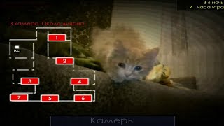 Кошачий хоррор вернулся: Пять ночей с Барсиком.