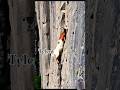 God #goat telent #animals #wildlife #nature #fox #love #mountains #shortvideo #leopardlove