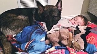 4-Year-Old Boy Gets Tucked In Every Night By His German Shepherd