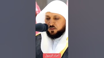 سورة الأحزاب ♥️ ماهر المعيقلي