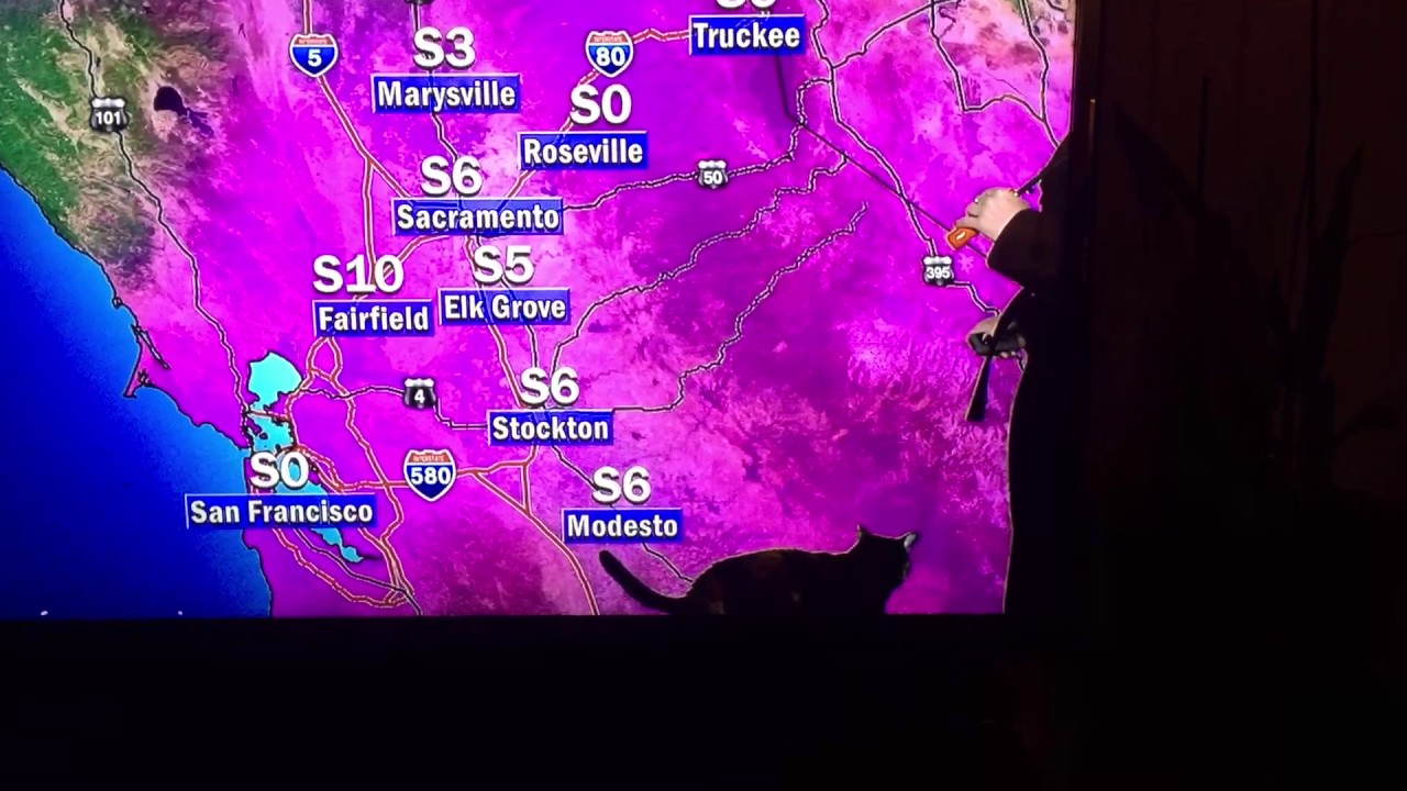 Chroma Kitty photobombs weather forecast! YouTube