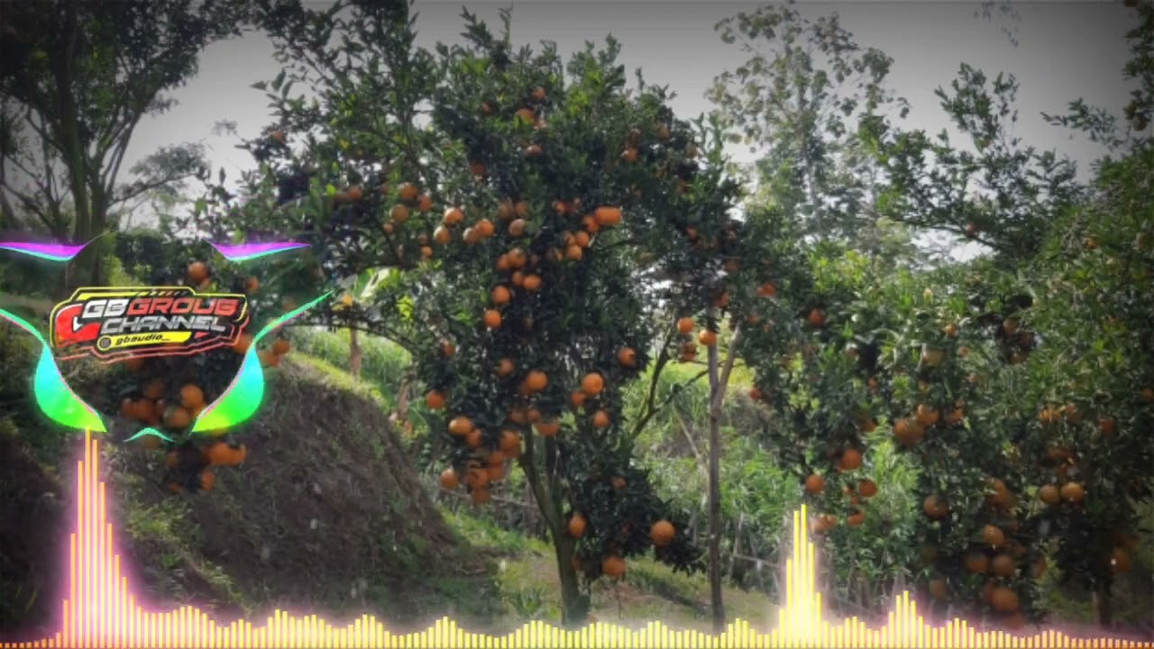 GB AUDIO JINGGLE BIKIN HOREG 