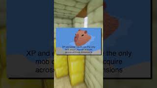99% of Minecraft Players Didn’t Know This Secret Fact 👀