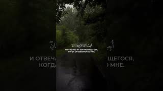 Аллах говорит нам-Я близок... 🕋☪️🕌#shorts #islam