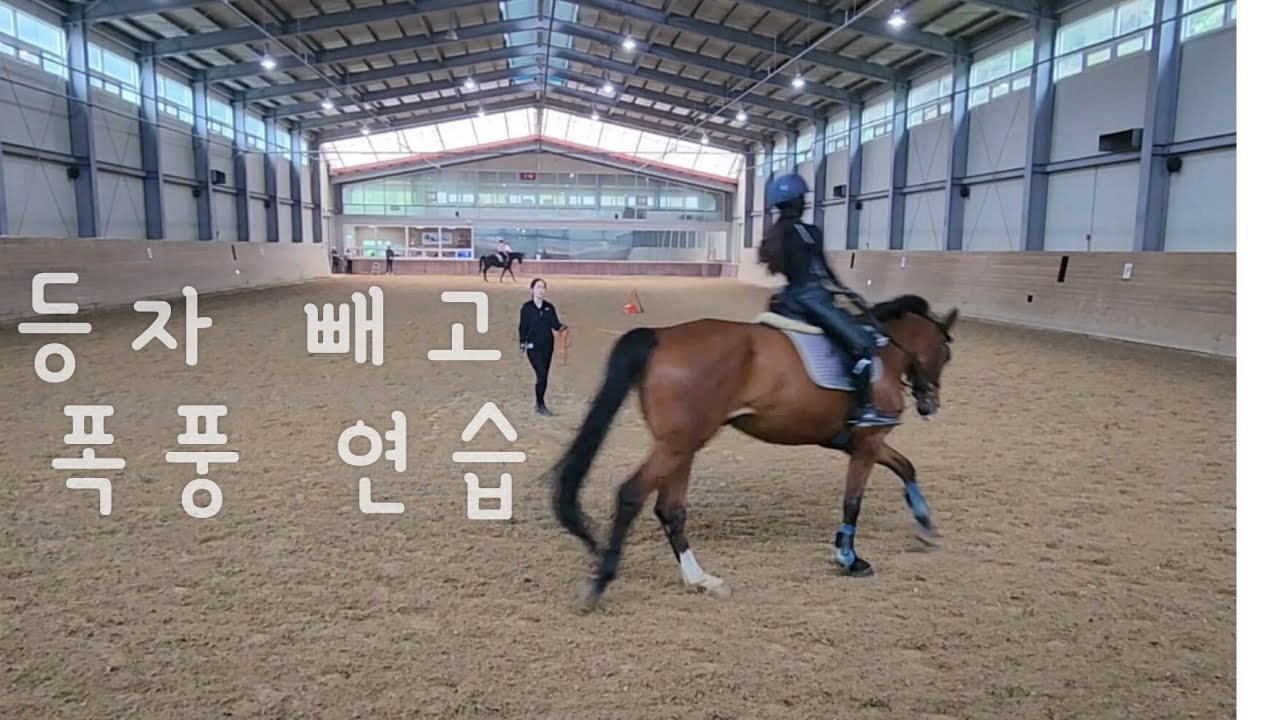 승마 | 등자 빼고 구보 속보 이행 | 로미의 시간은 거꾸로 간다🥲| 좌속보 | 에이스승마 | 박채원 코치님 | 마장마술 기승 ...
