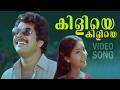 Kiliye Kiliye Video Song Malayalam Songs Ilaiyaraaja S Janaki Mammotty Kalyani