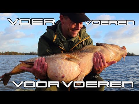 Video: Hoe Karper Voeren?