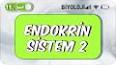 Biyoloji - Endokrin Sistemi Nedir ?  Ders Notu ve Konu Anlatımı ile ilgili video