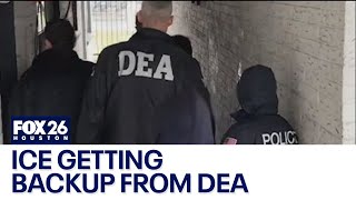 ICE officers getting backup from DEA