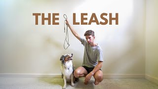 The Only Dog Leash You'll Ever Need