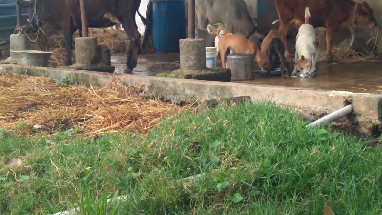 idno 2145 Ragavan real estate residential plot velammal school opposite 30x40x2 plots.