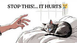 20 Things You Do That Secretly Hurt Your Cat 😿 (Stop Now)