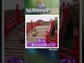 とんでもなさすぎるLoLバグ3選！【リーグオブレジェンド】【初心者】#shorts #leagueoflegends #lol #リーグオブレジェンド