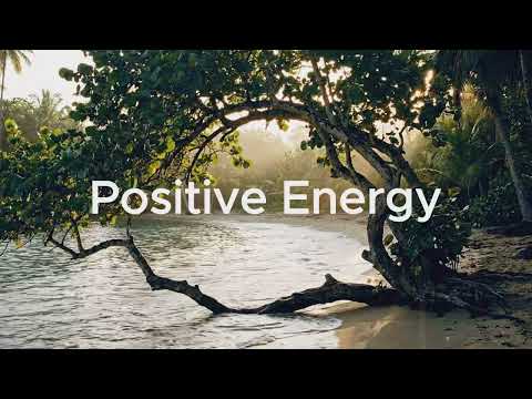 Chill House Music｜Gentle Morning Routine｜Study Focus 🍃