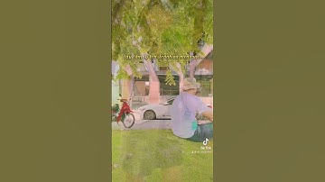 Nỗi buồn là di sản của quá khứ, sự nuối tiếc là nỗi đau của ký ức.