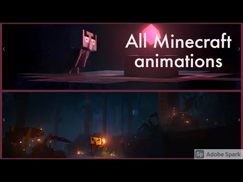 All minecraft animations.