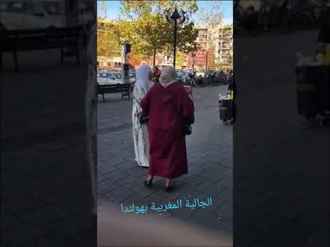 مغربيات في هولندا