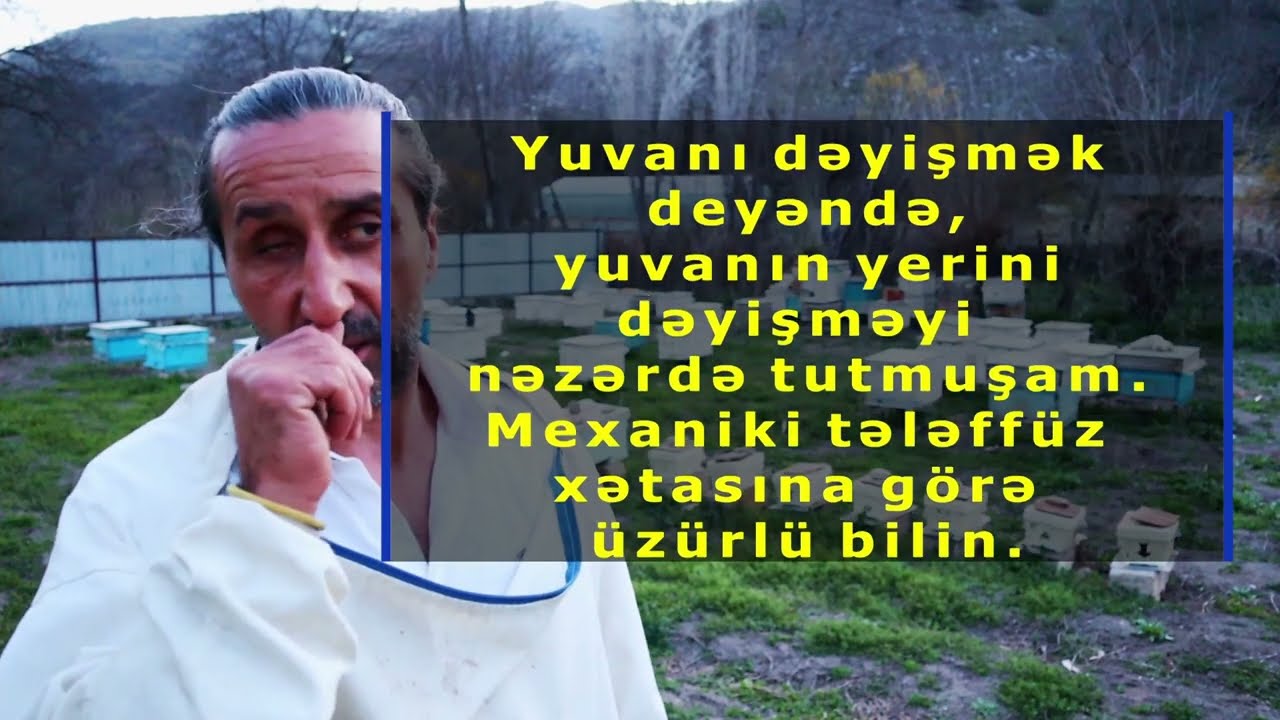 Arı yuvalarının yerini dəyişmək. Uzağa getmədən, eyni arıxanada.