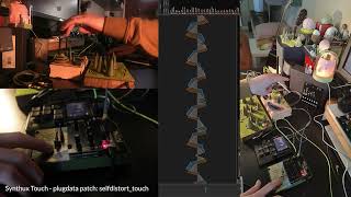 plugdata patch for Synthux Simple Touch: selfdistort-touch (dry demo)