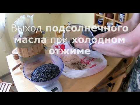 Выход подсолнечного масла холодного отжима