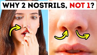 Why One Side of Your Nose Has More Airflow
