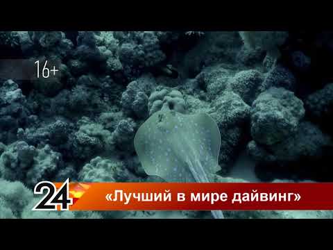 Лучший в мире