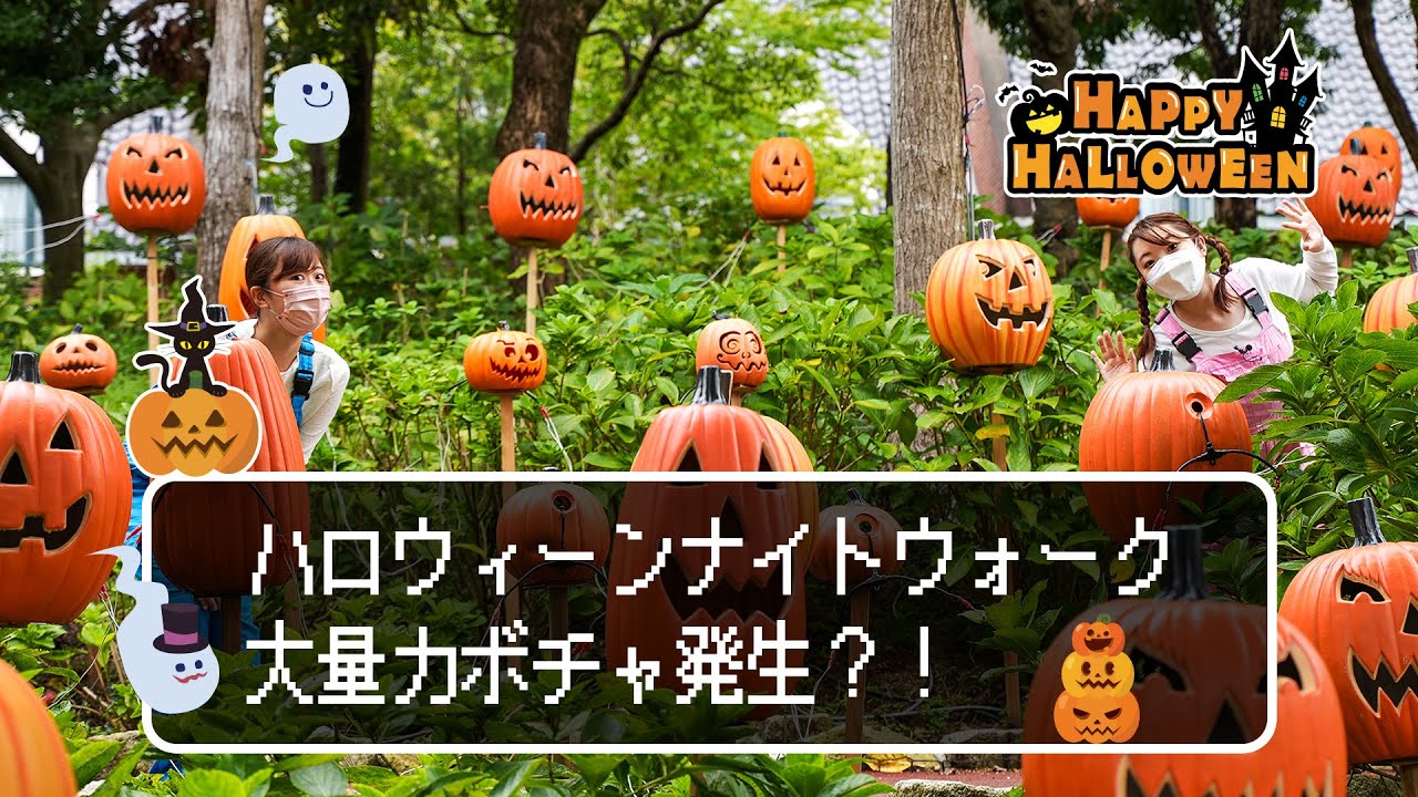ハロウィーン Cna Gob Bo