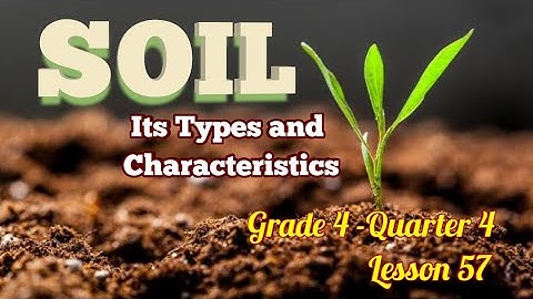 SOIL | Its Types and Characteristics