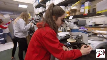 Mannequin Challenge: Citation Needed