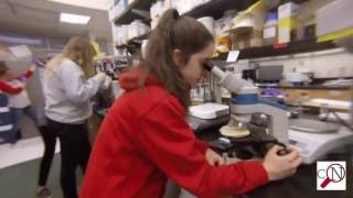 Mannequin Challenge: Citation Needed