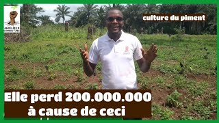 culture du piment : cette jeune agripreneur perd un contrat de 200.000.000 à cause de ces erreurs