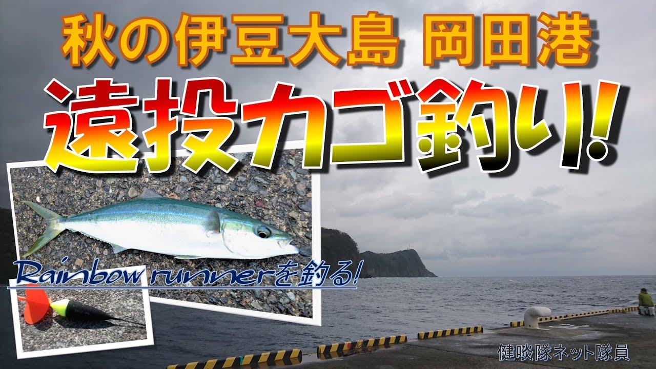 秋の伊豆大島 遠投カゴ釣り【RAINBOW RUNNERを釣る!】健啖隊ネット隊員(y.katsu)